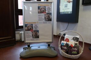 lebork - pomoc zwierzakom